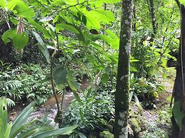 Gato de Botas Flats & Suites