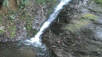 Gato de Botas Flats & Suites