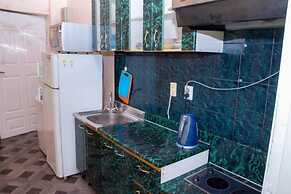 Apartment on Svetlanskaya St. 23