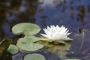 Le Clos des Queyries