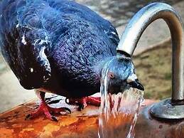 Hotel 36 - ORBI Beach Tower Batumi 36th floor