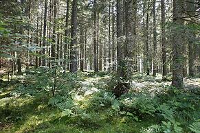 Chalet am Birkenhain