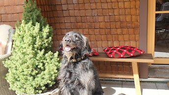 Chalet am Birkenhain