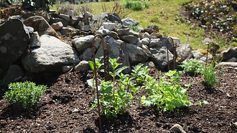Chalet am Birkenhain