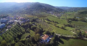 Lamione da Dorotea