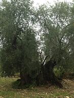 Residence Valleverde