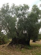 Residence Valleverde