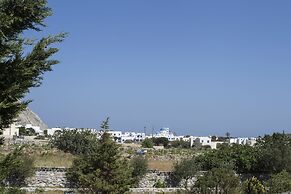 The Birds Villa included Car rental