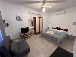 The Birds Villa included Car rental