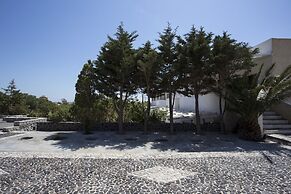 The Birds Villa included Car rental