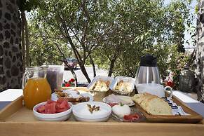 The Birds Villa included Car rental