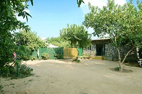 Bagh Dera Camp