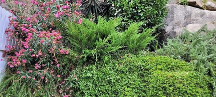 Red House by the River