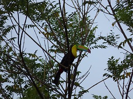 Hostal Alto De La Montaña