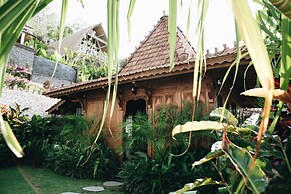 White Tortoise Eco Villa's
