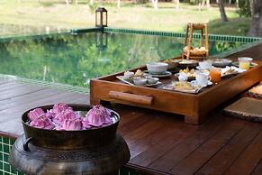 Mane Family Vacation