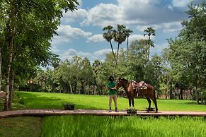 Mane Family Vacation