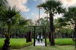 Mane Family Vacation