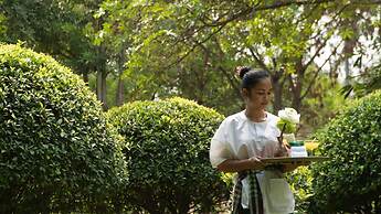 Mane Family Vacation