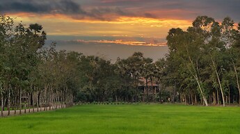 Mane Family Vacation