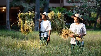 Mane Family Vacation