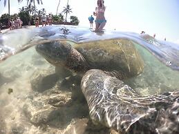 International Beach Hotel and Restaurant