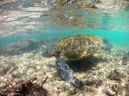 International Beach Hotel and Restaurant