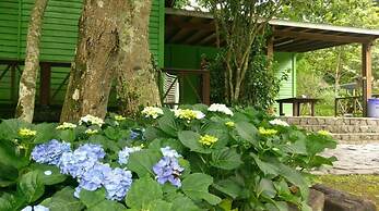 Hemerocallis Country House