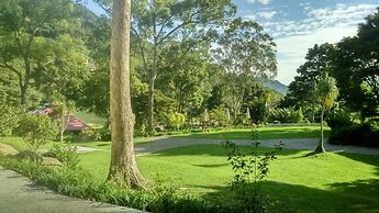 Hemerocallis Country House