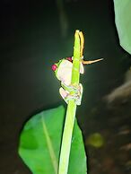 Garden of Heliconias Lodge