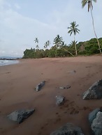Garden of Heliconias Lodge