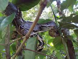 Garden of Heliconias Lodge