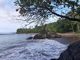 Garden of Heliconias Lodge