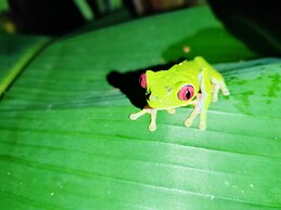 Garden of Heliconias Lodge