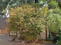 Surf & Relax Inn Arugambay