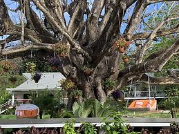 Aves Hotel & Resort - Retreat Center