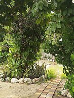 Casa Hostal Mamey - Hostel