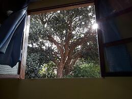 Pousada Casa Da Trilha