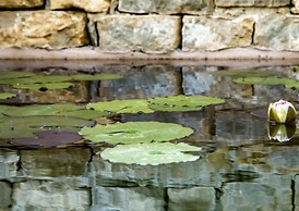 Agriturismo Don Carlo