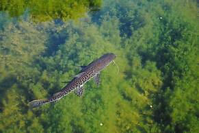 Pousada Recanto dos Pássaros