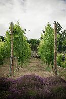 Vald'arêgos Douro Turismo Rural