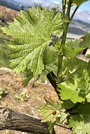 Vald'arêgos Douro Turismo Rural