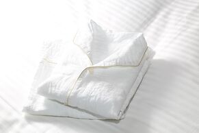 Daiwa Roynet Hotel Tokyo Kyobashi PREMIER