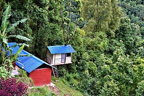 Jungle Crown Organic Homestay