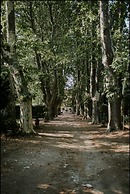 Château de Saint-Girons B&B