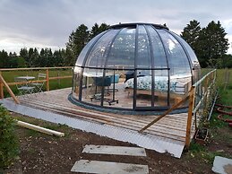 La bulle au bois dormant d'ovifat