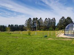 La bulle au bois dormant d'ovifat