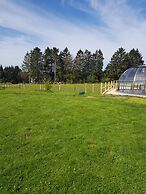 La bulle au bois dormant d'ovifat