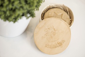 Platzhirsch Apart & Mayrhofen