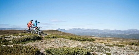 Topcamp Hallingdal - Ål